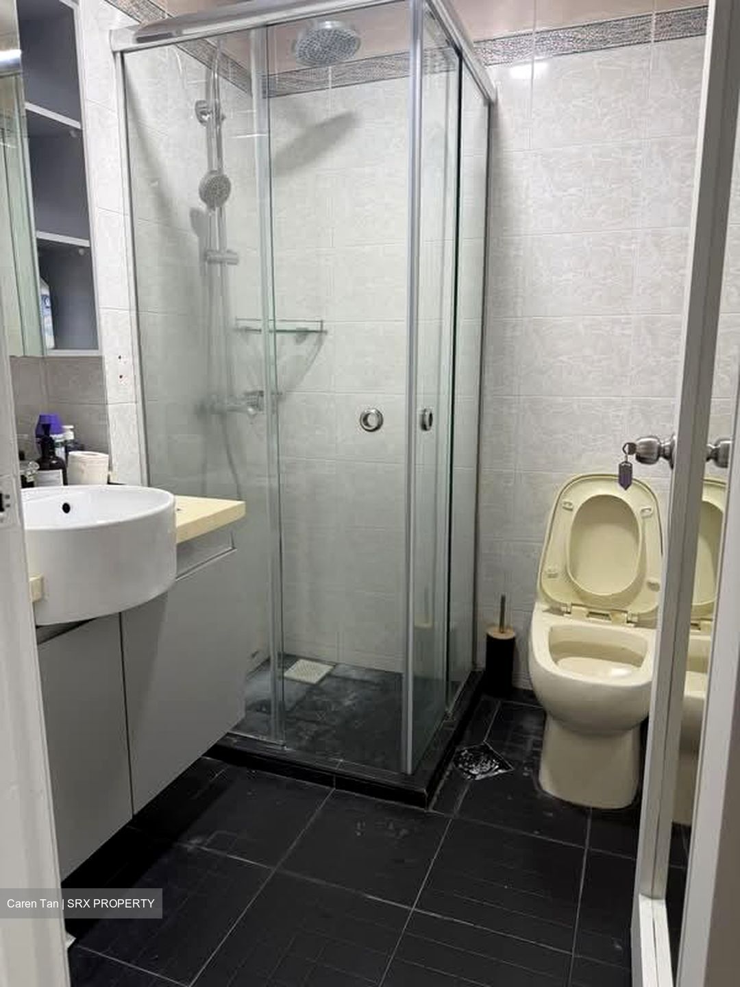 Oleander Towers (D12), Apartment #596741731